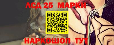 ALPHA PVP Малгобек