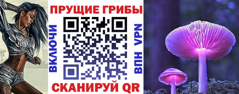 Псилоцибиновые грибы Psilocybine cubensis  Гурьевск 