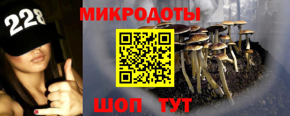 Гурьевск  Псилоцибиновые грибы ЛСД  Вход с VPN 