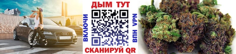 где можно купить   Гурьевск  Каннабис Amnesia 